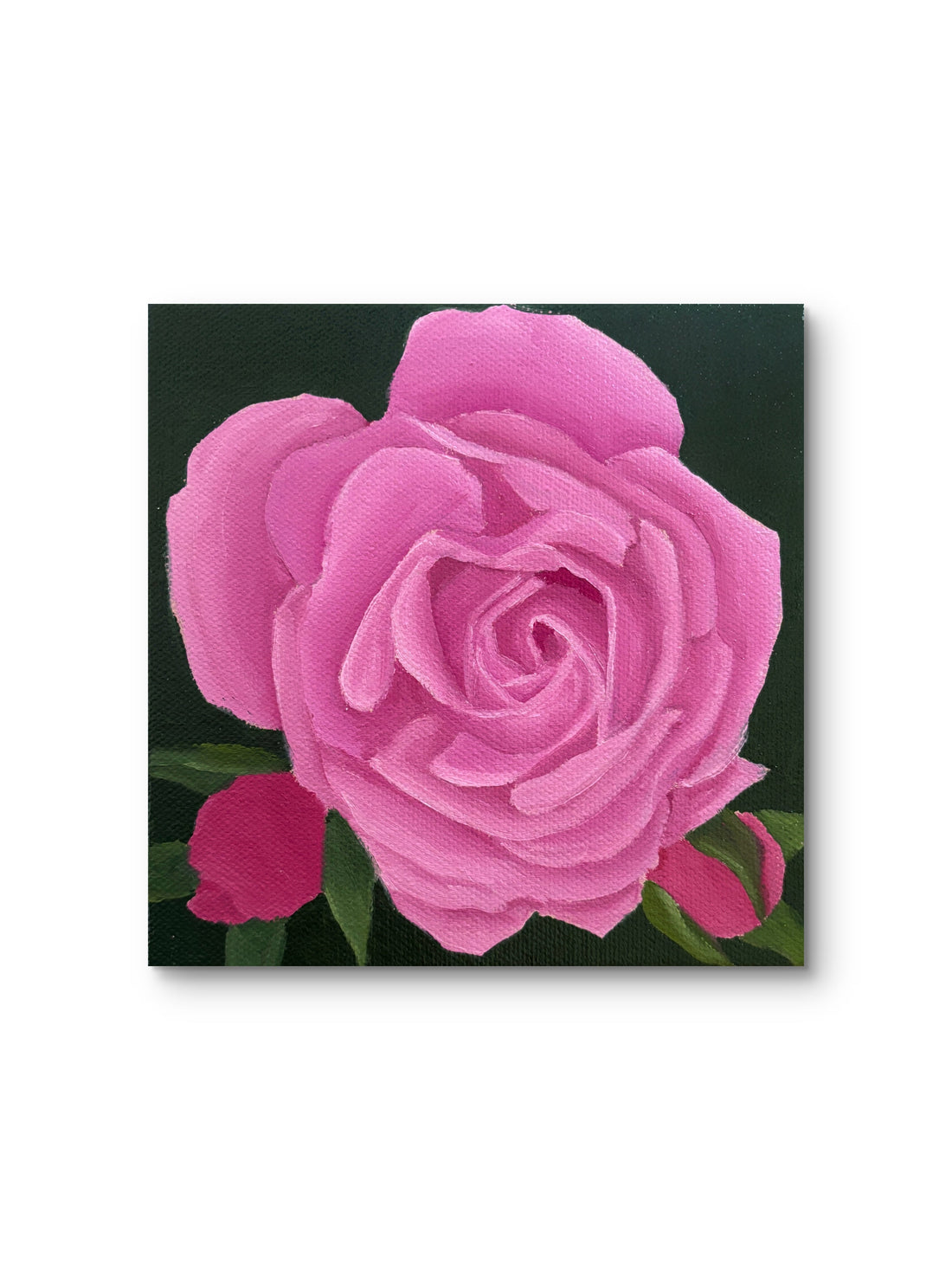 Rose Revisited 🌹