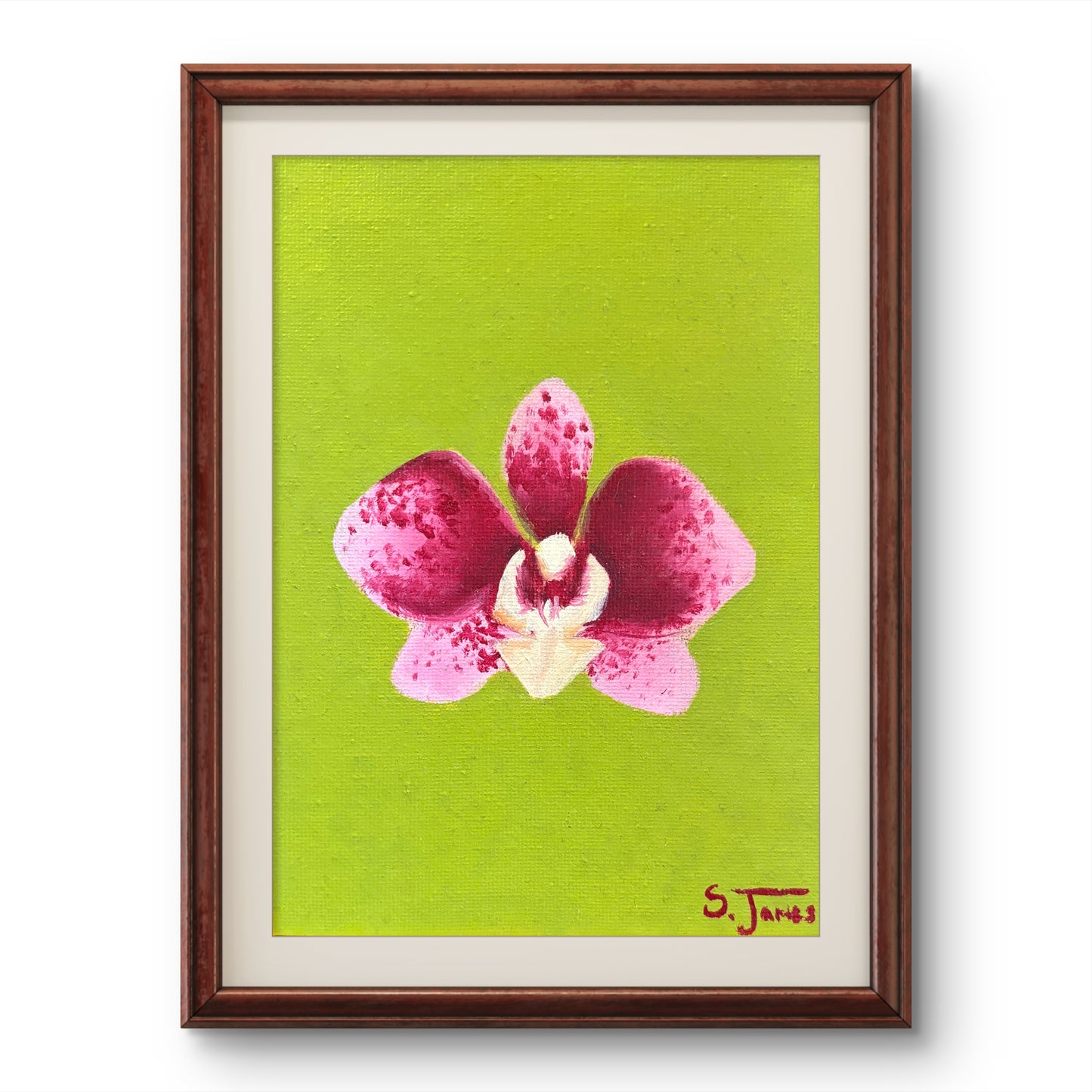 Orchid #2 - 5x7” Giclee Print | Shannon James