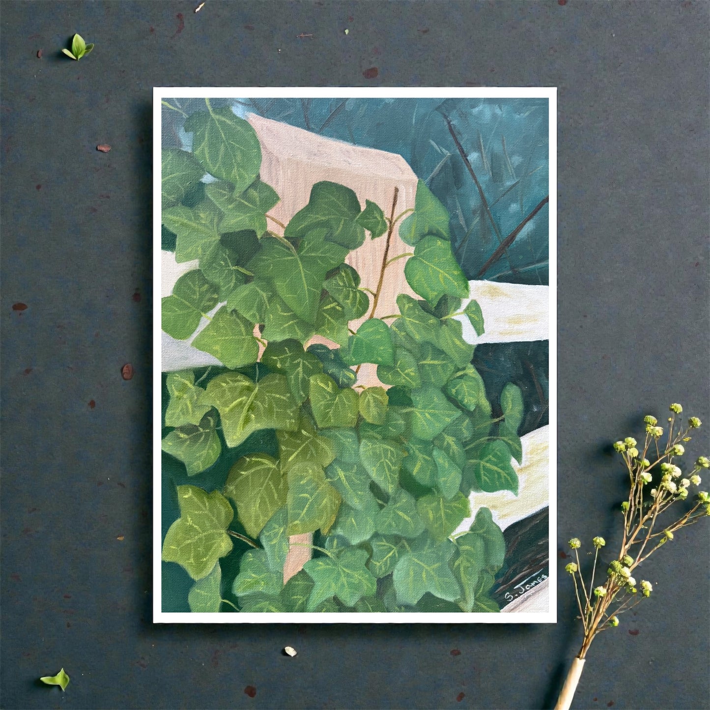 Ivy at the Cottage - Botanical Floral Giclee Print | Shannon James