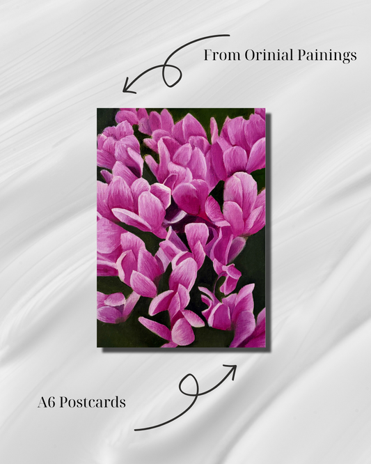 Cyclamen Bloom - Postcard
