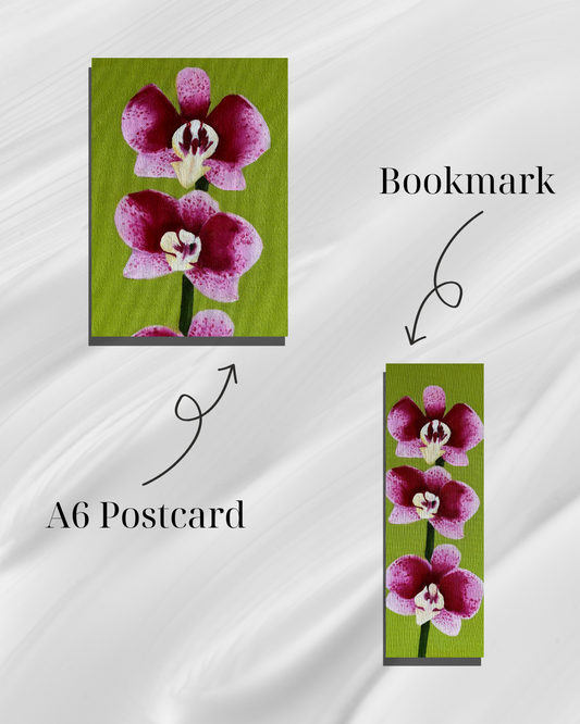 Orchid #1 - A Cosy Studio Art Bundle