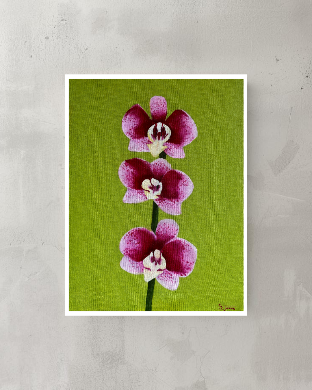Orchid #1 - Botanical Floral Giclee Print | Shannon James