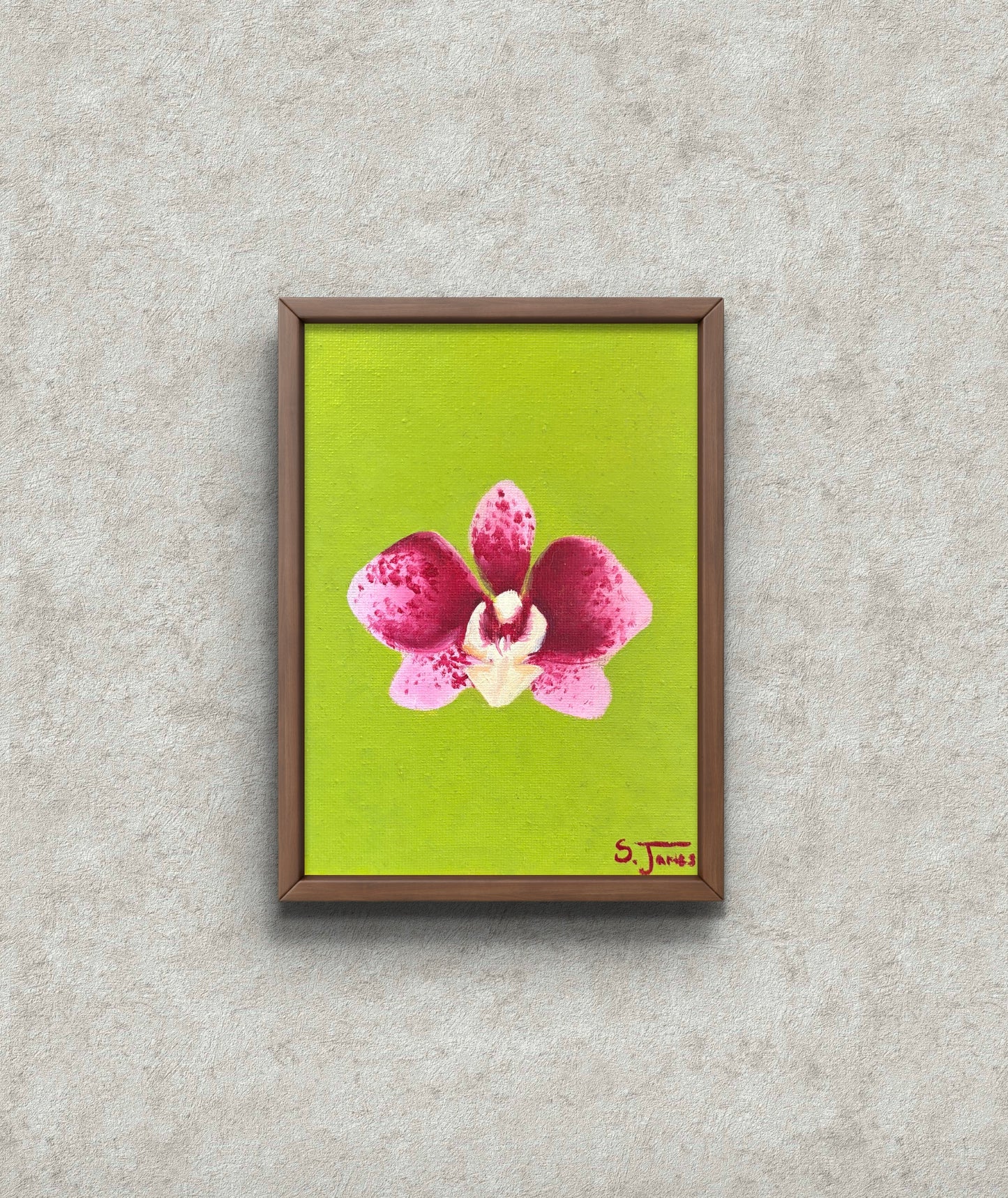 Orchid 2 - Original | Shannon James