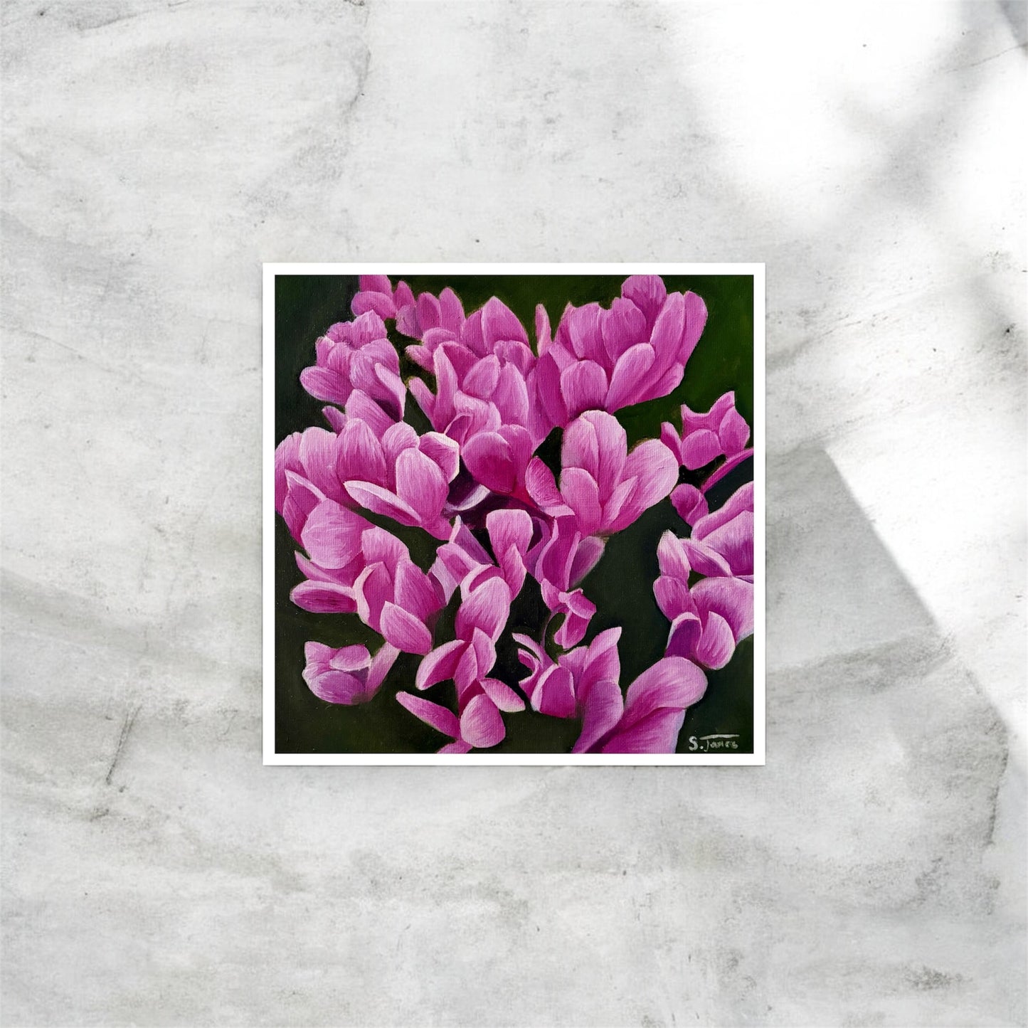 Cyclamen Bloom - Floral Giclee Print | Shannon James