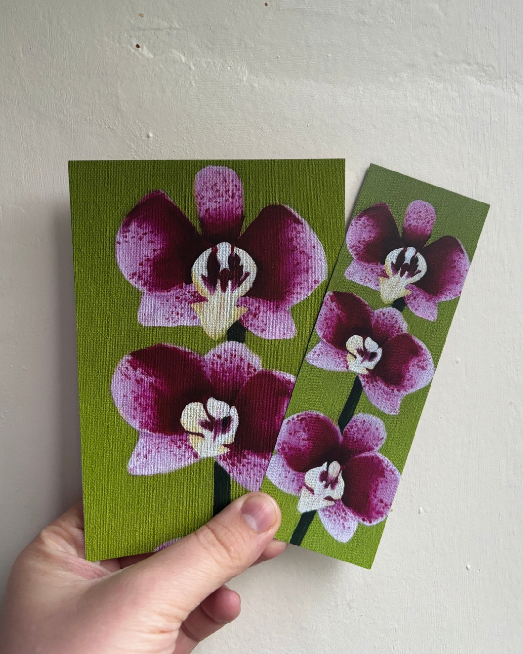 Orchid #1 - A Cosy Studio Art Bundle