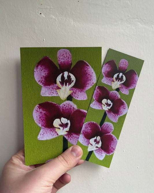 Orchid #1 - A Cosy Studio Art Bundle