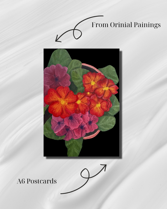 Primrose 1 - Postcard