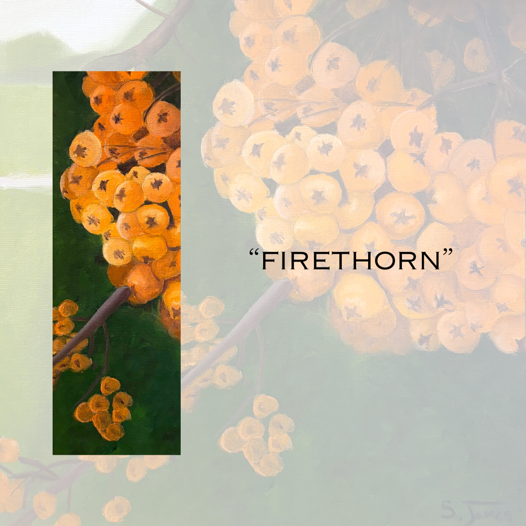 Firethorn - Bookmark