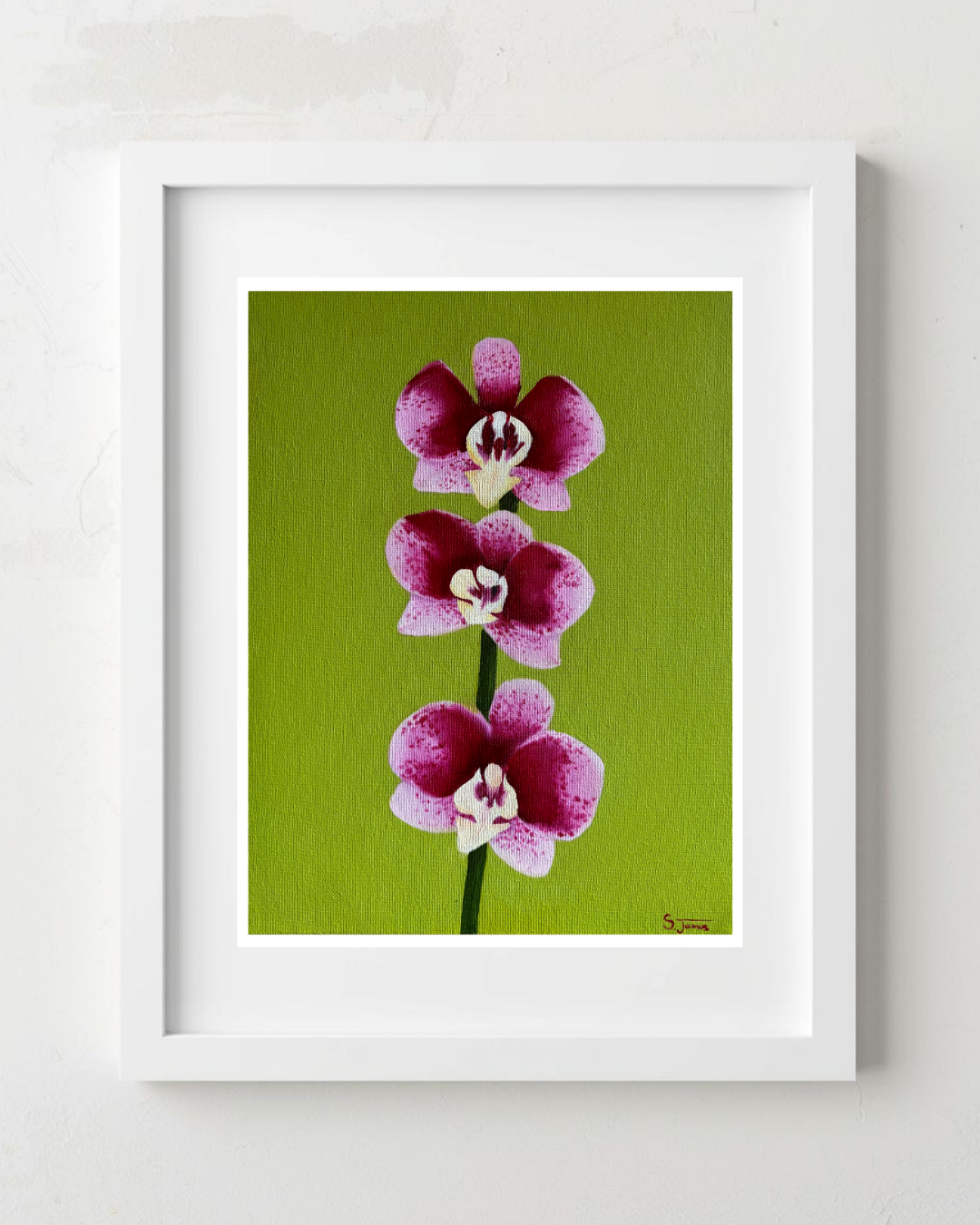Orchid #1 - Botanical Floral Giclee Print | Shannon James