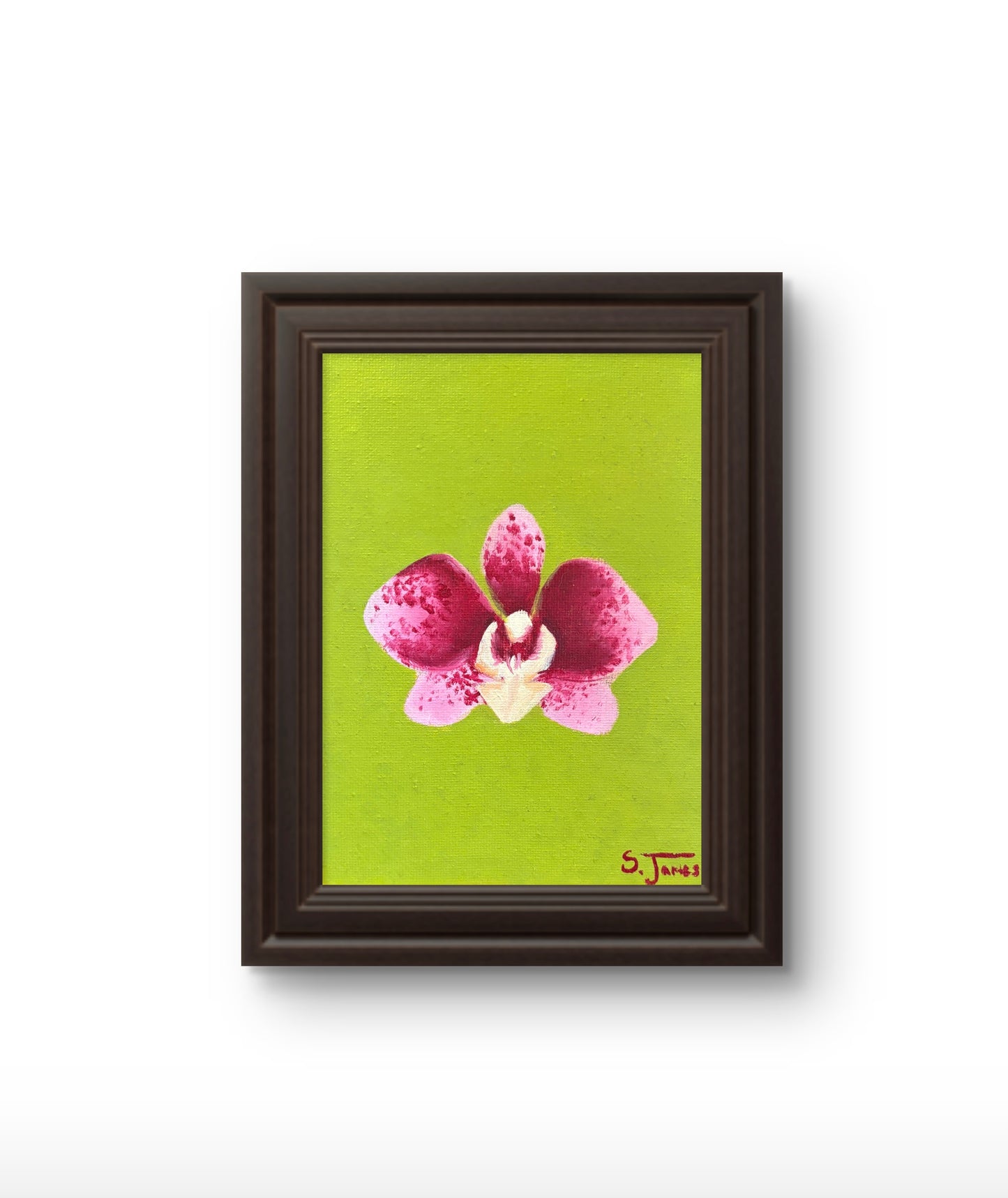 Orchid 2 - Original | Shannon James
