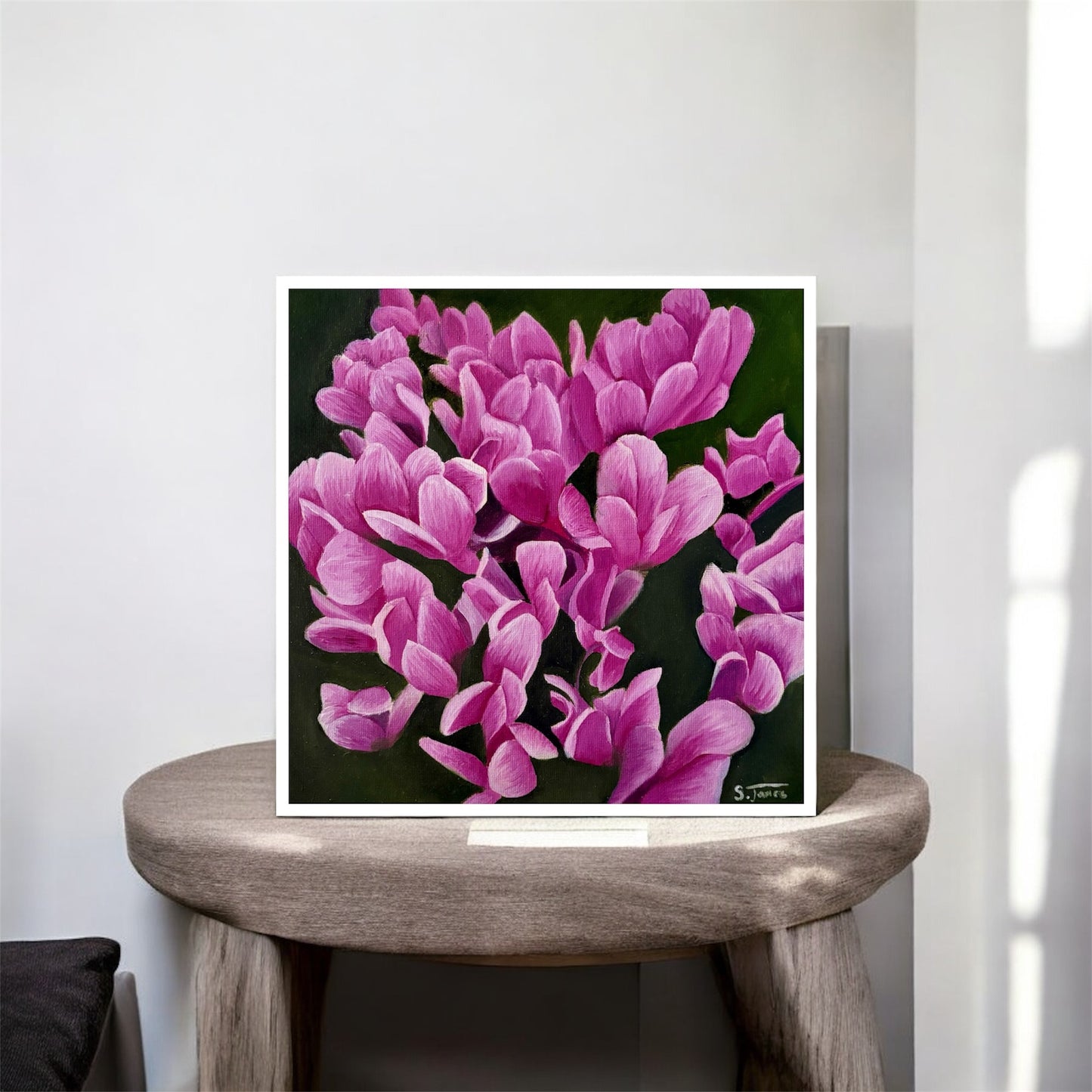 Cyclamen Bloom - Floral Giclee Print | Shannon James