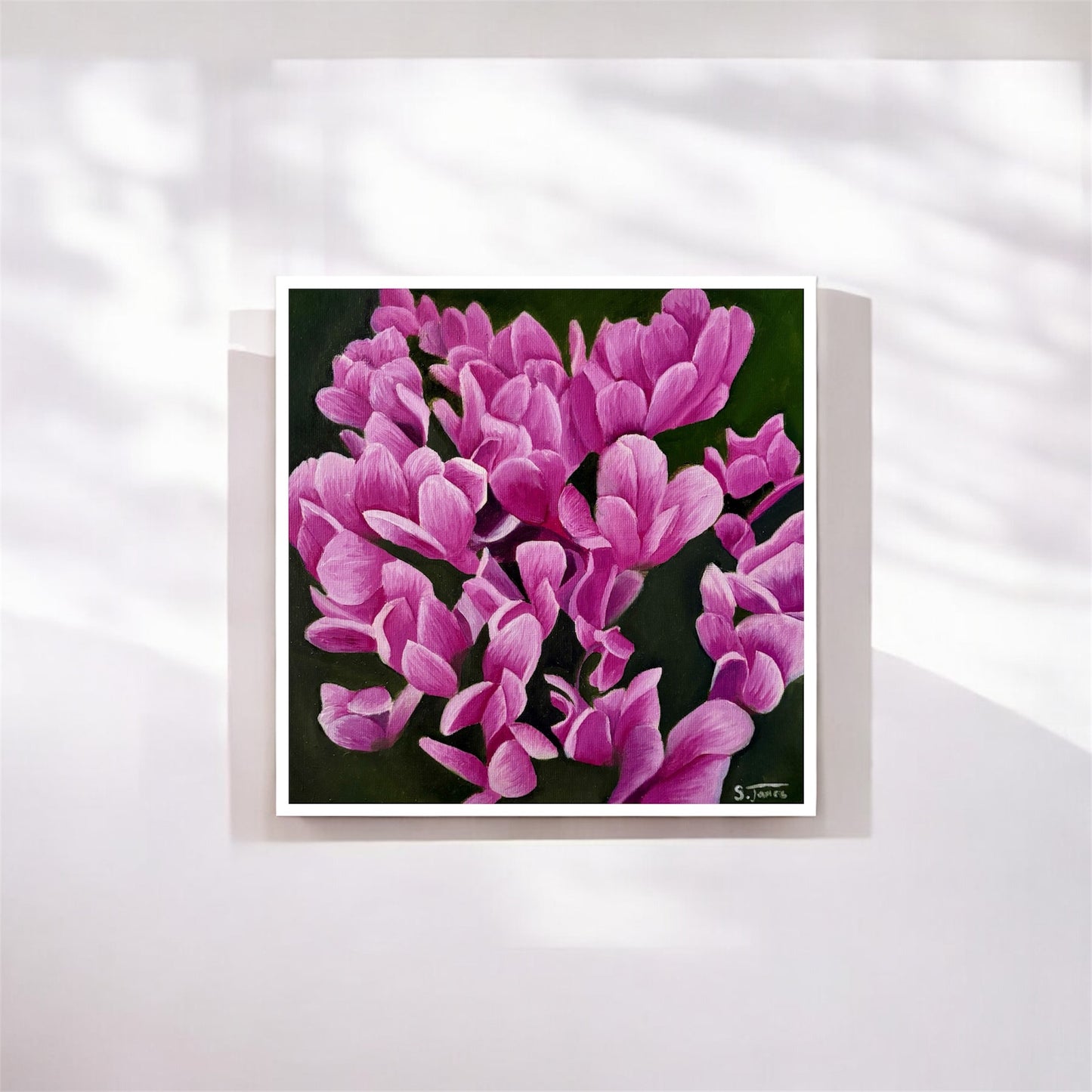 Cyclamen Bloom - Floral Giclee Print | Shannon James