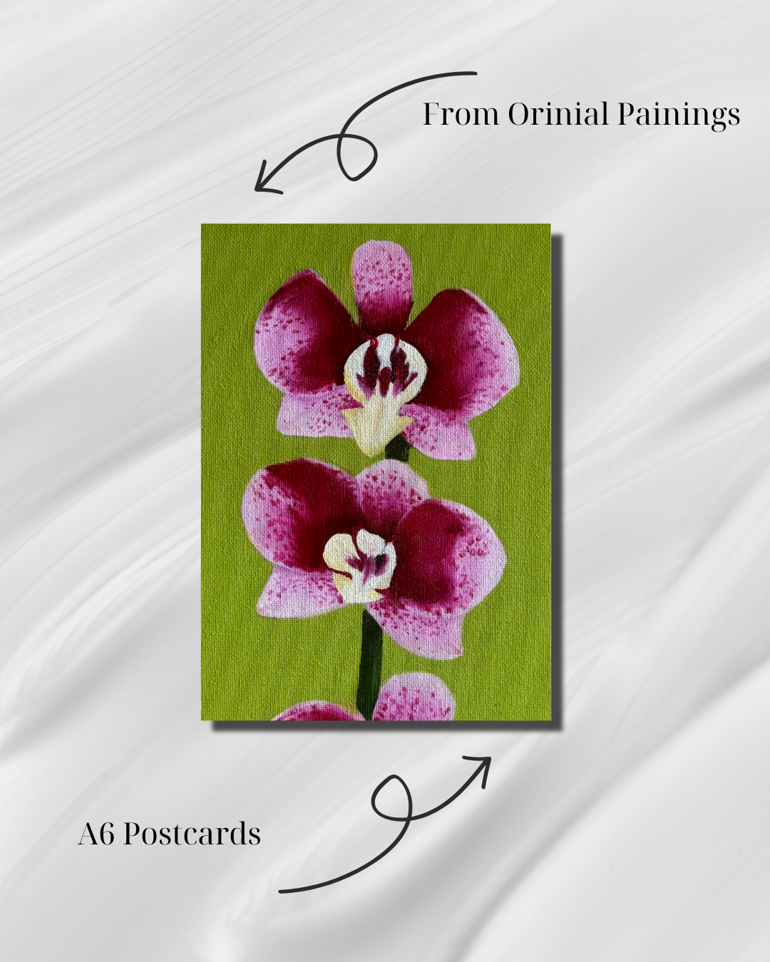 Orchid #1 - Postcard