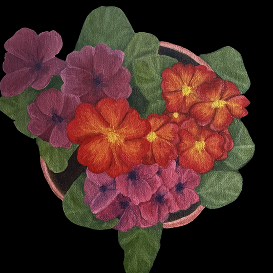 Primrose 1 - Botanical Oil Painting | Shannon James