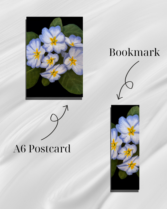 Primrose #2 - A Cosy Studio Art Bundle