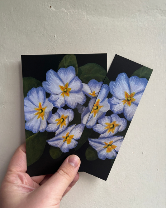 Primrose #2 - A Cosy Studio Art Bundle
