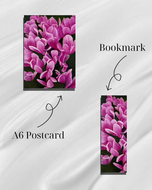 Cyclamen Bloom - A Cosy Studio Art Bundle