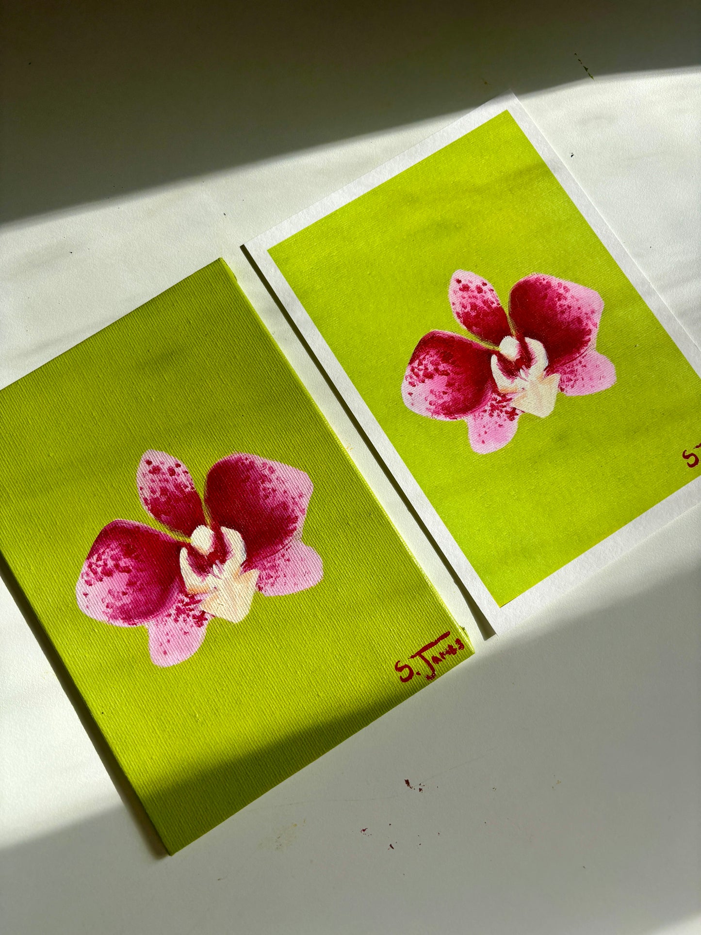 Orchid #2 - 5x7” Giclee Print | Shannon James