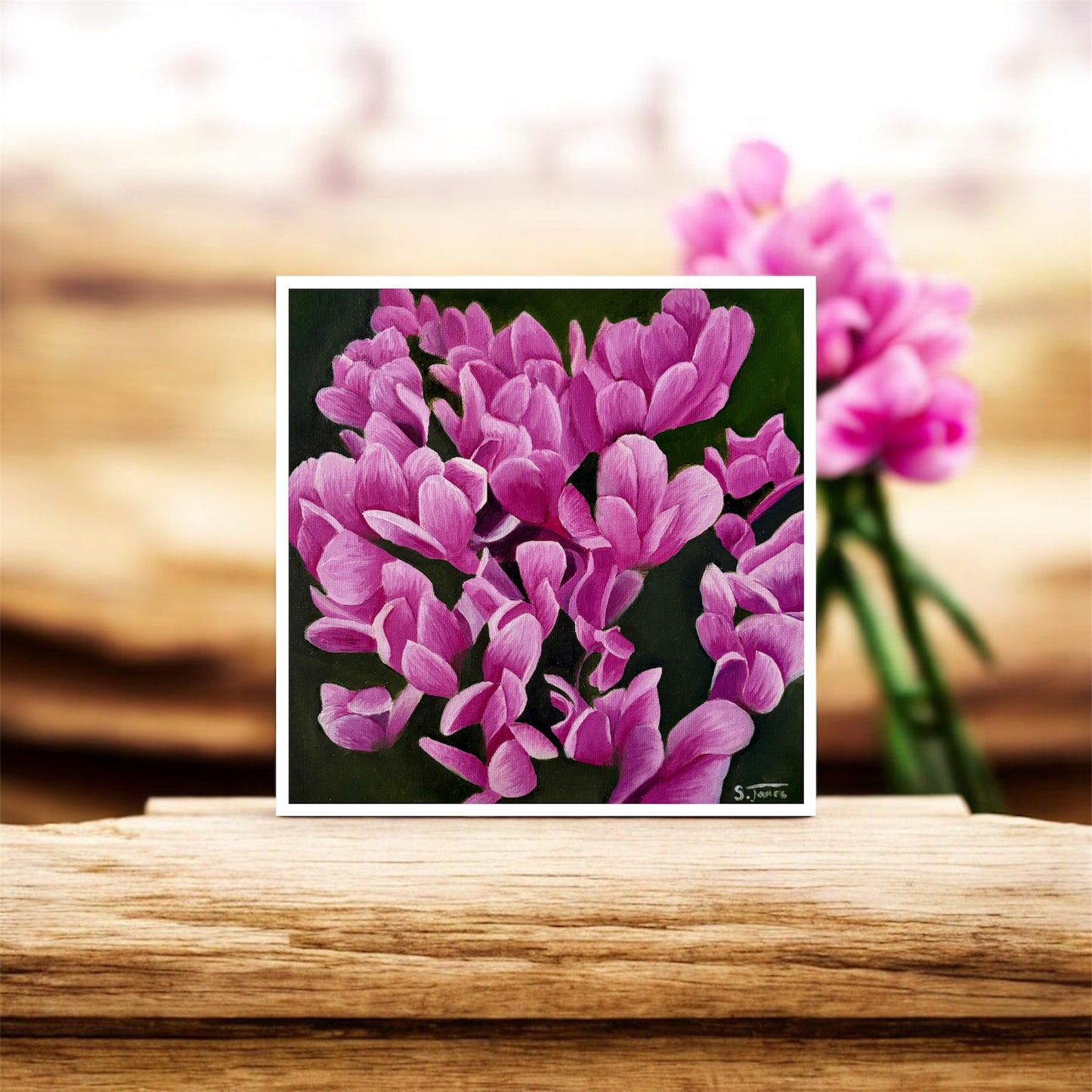 Cyclamen Bloom - Floral Giclee Print | Shannon James