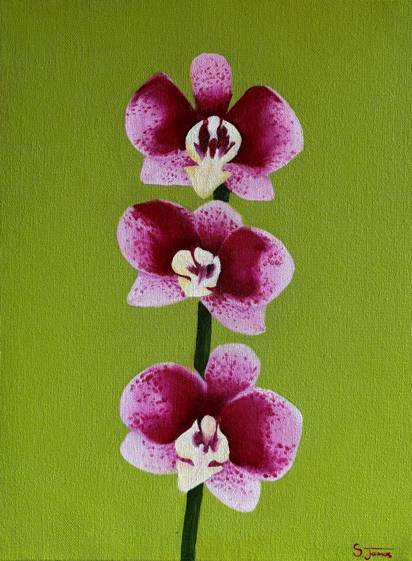 Orchid #1 - Botanical Oil Painting | Shannon James - CURRENTLY UNAVAILABLE