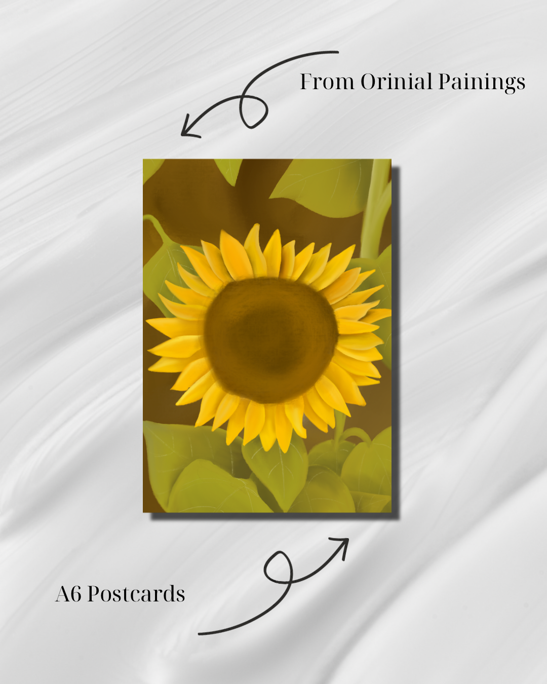 Sunflower - Postcard
