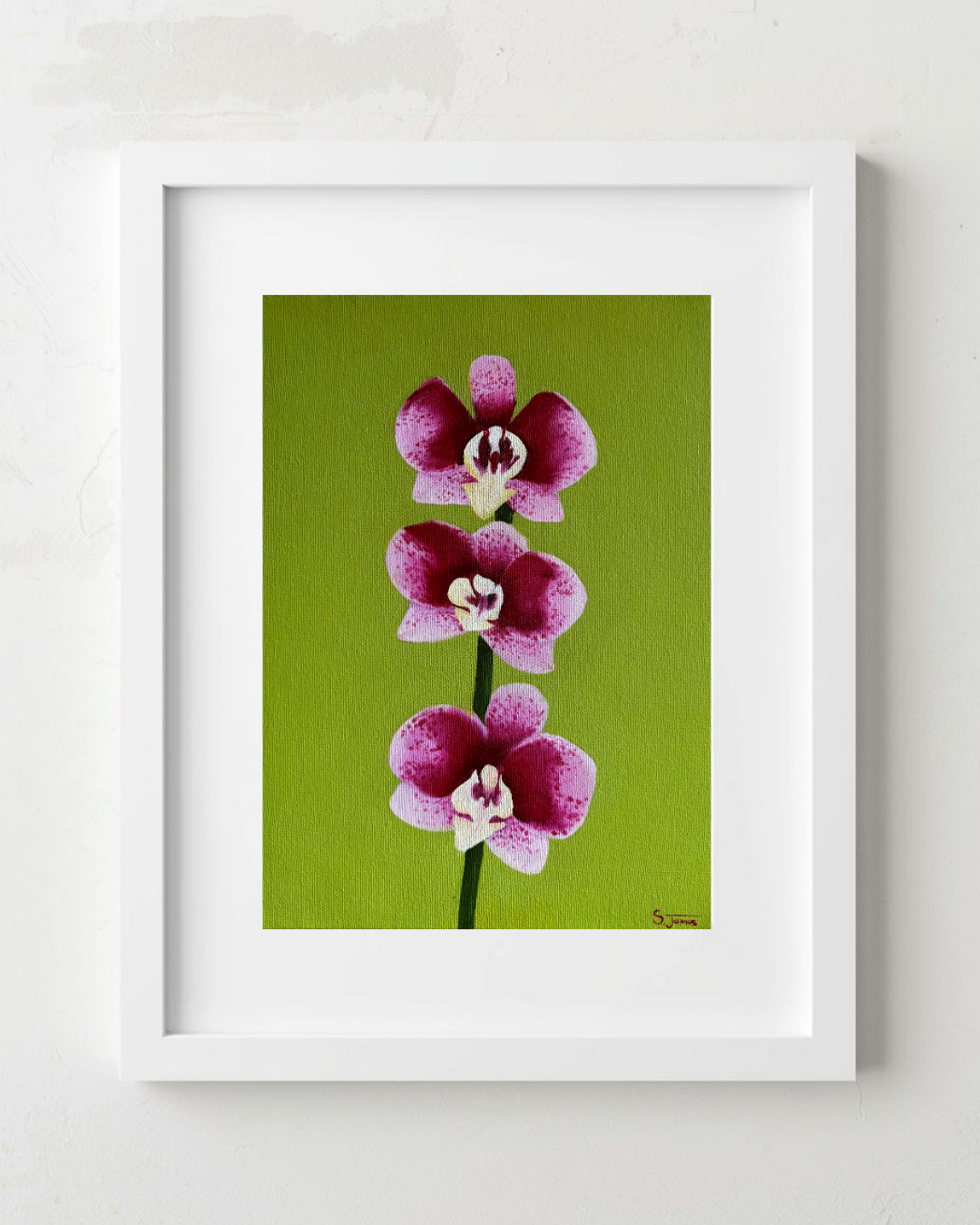 Orchid #1 - Botanical Oil Painting | Shannon James - CURRENTLY UNAVAILABLE