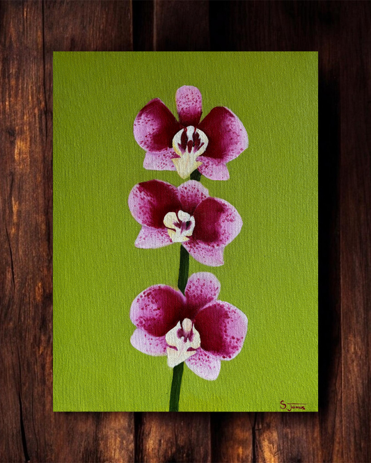 Orchid #1 - Botanical Oil Painting | Shannon James - CURRENTLY UNAVAILABLE