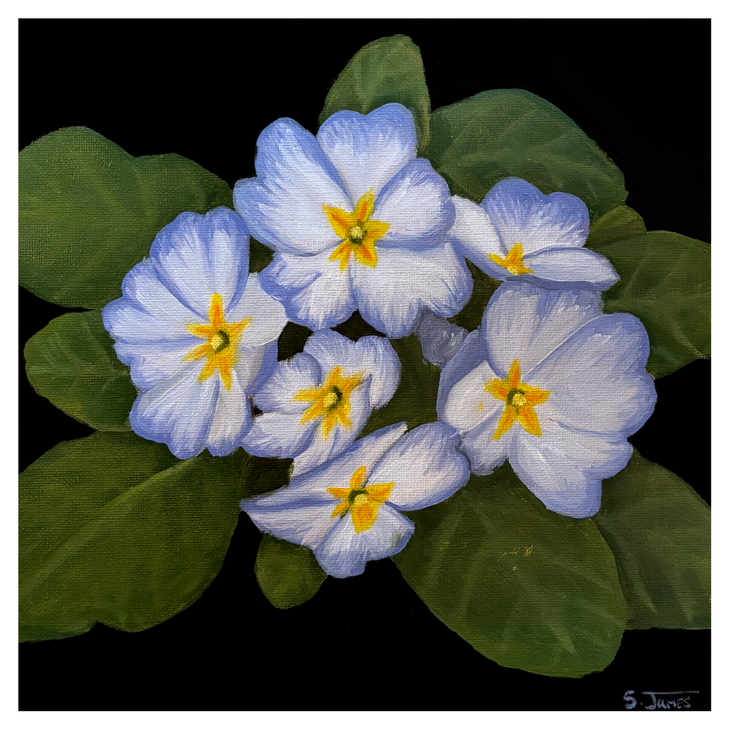 Painting of blue flowers with yellow centers on a black background