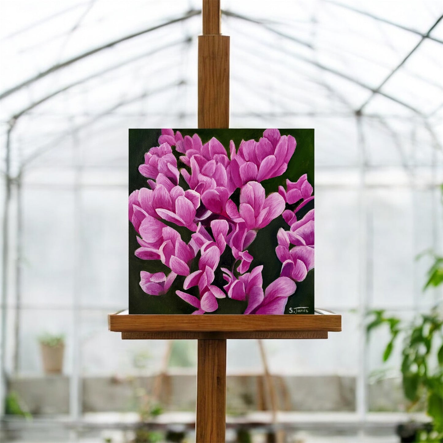 Cyclamen Bloom - Botanical Oil Painting | Shannon James