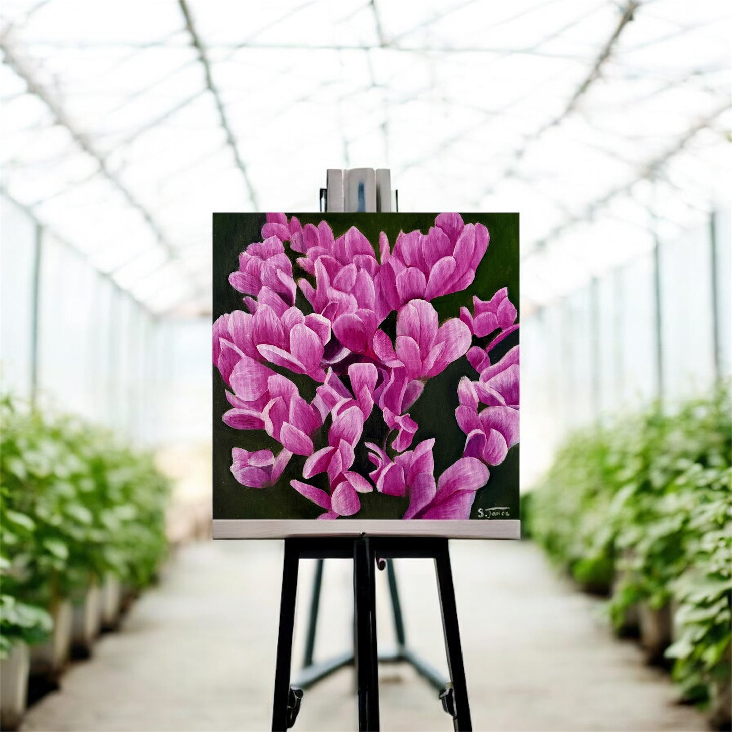 Cyclamen Bloom - Botanical Oil Painting | Shannon James